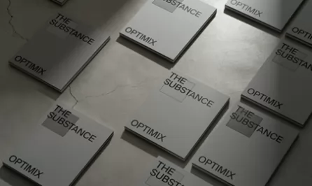 The Substance