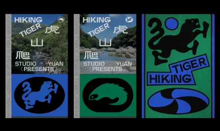 爬山虎