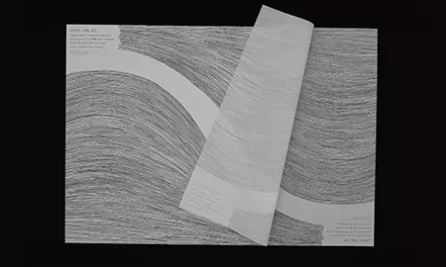 层