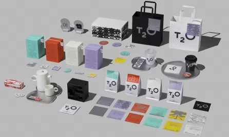 T2O