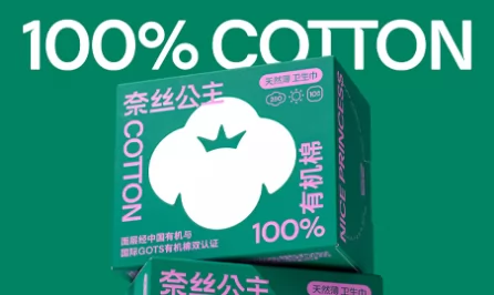 奈丝公主品牌重塑