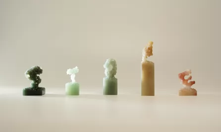 石生万物