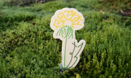 花语