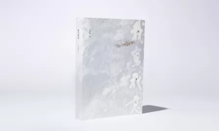 我写我意