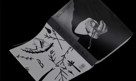 奇迹之境：艺术家手作书