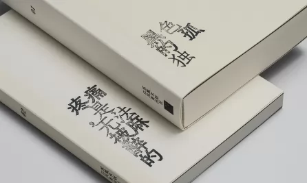 设计之外