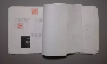 智识·自然·人工·共生——第十九届威尼斯国际建筑双年展 《循环之道》实践指南